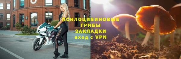 бошки Алзамай