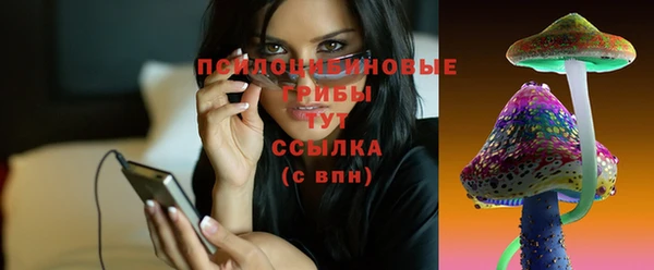 бошки Алзамай