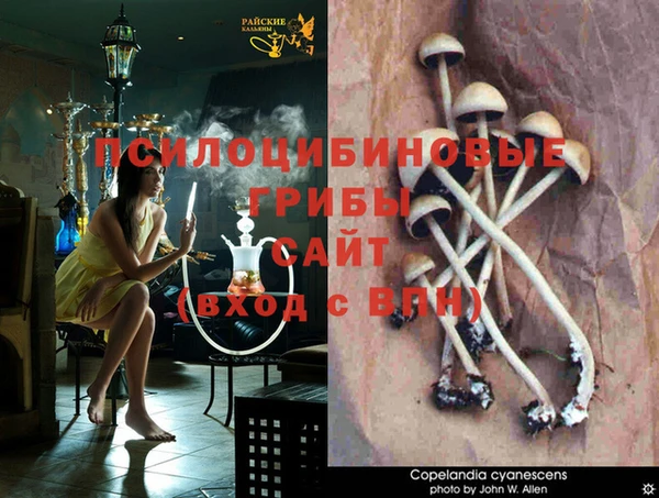 амф Алексеевка